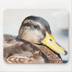 Mousepad Mulher: Mallard