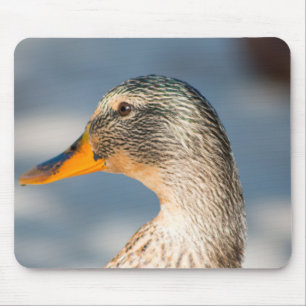 Mousepad Mulher: Mallard