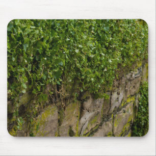 Mousepad Muro De Ivy
