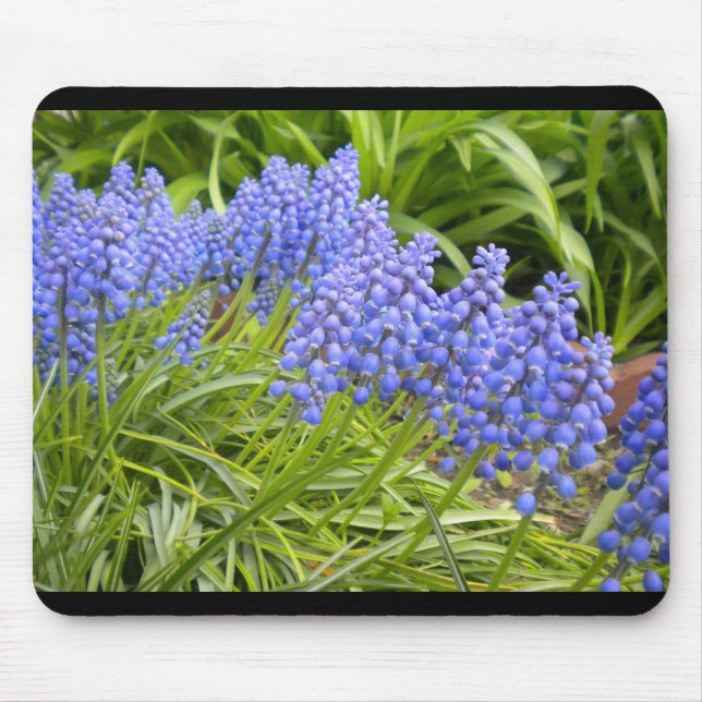 Mousepad Muscari/Pad do Rato Hyaciny de uva (Frente)