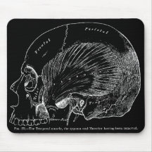 Músculo temporal humano do desenho médico do