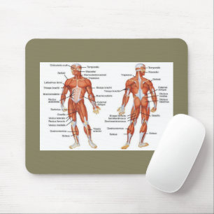 Mousepad Músculos Diagramas101