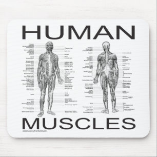 Mousepad Músculos humanos e anatomia