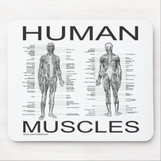 Mousepad Músculos humanos e anatomia