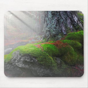 Mousepad Musgo na floresta