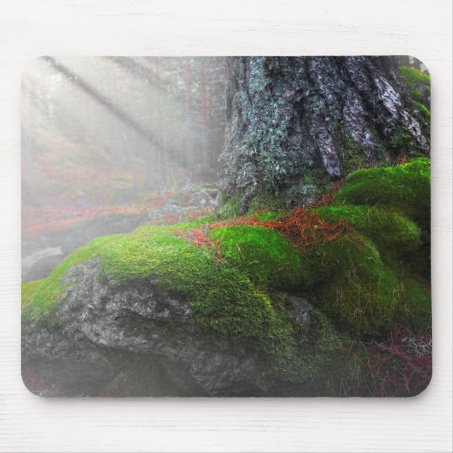Mousepad Musgo na floresta (Frente)