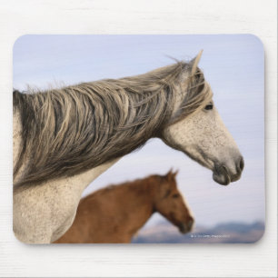 Mousepad Mustangs Espanhóis