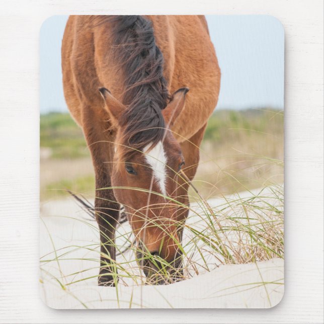 Mousepad Mustangs Selvagens ou Cavalos Banker (Frente)