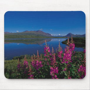 Mousepad N.A., EUA, Alasca, Alaska Range Comum