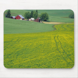 Mousepad N.A., EUA, Idaho, Condado de Latah, perto de Genes