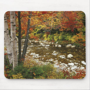 Mousepad N.A., EUA, New Hampshire, White Mountains,