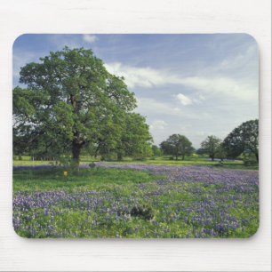 Mousepad N.A, EUA, Texas, Lago Buchanan, Carvalhos e Azul