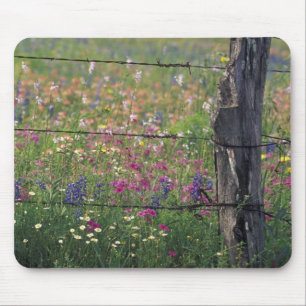 Mousepad N.A, EUA, Texas, Lytle, Poste de cerca e