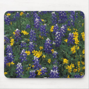 Mousepad N.A, EUA, Texas, Marble Falls, Blue Bonnets