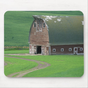 Mousepad N.A., EUA, Washington, Condado de Whitman. Velho