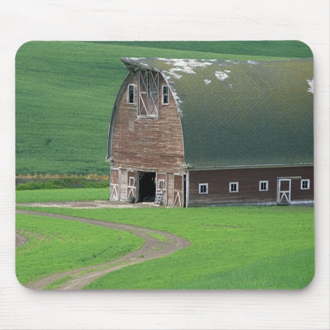 Mousepad N.A., EUA, Washington, Condado de Whitman. Velho (Frente)