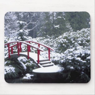 Mousepad N.A., EUA, Washington, Seattle. Ponte da lua em