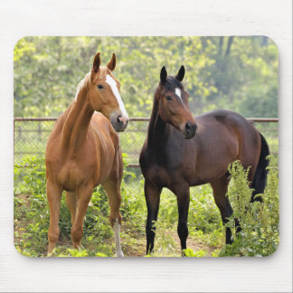 Mousepad Na atenção