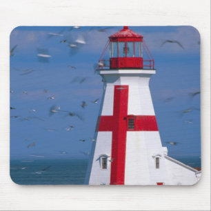 Mousepad NA, Canadá, New Brunswick, Ilha Campobello. 8