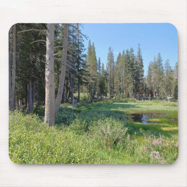 Mousepad Na estrada para o lago Tahoe (Frente)