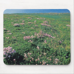 Mousepad NA, EUA, Alasca, Ilha Aleutiana, Cênica com