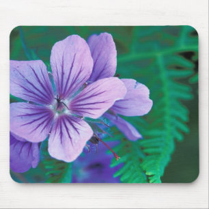 Mousepad NA, EUA, Alasca, Ilhas Aleutas, Selvagem