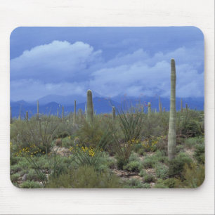 Mousepad NA, EUA, Arizona, Monumento Nacional Saguaro,