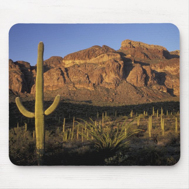 Mousepad NA, EUA, Arizona. Orgão Pipe Cactus National 2 (Frente)