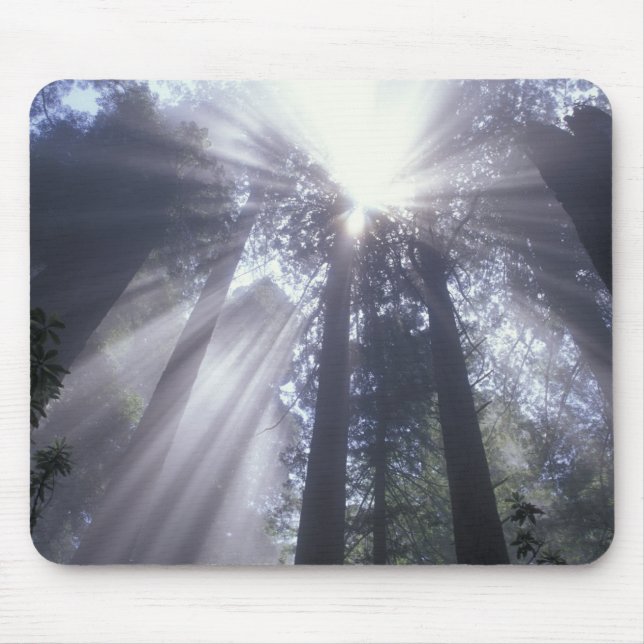 Mousepad NA, EUA, Califórnia. Del Norte Coast State 2 (Frente)