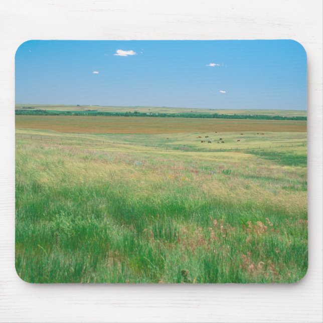 Mousepad NA, EUA, NE. Campos perto de Ogallala com (Frente)