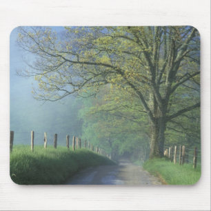 Mousepad NA, EUA, Tennessee, Cades Cove, Grande Smoky