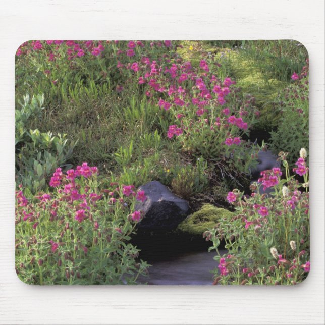 Mousepad NA, EUA, Washington, Monte Rainier NP, Rosa (Frente)