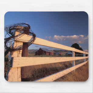 Mousepad NA, EUA, Washington, perto de Walla Walla, cerca,
