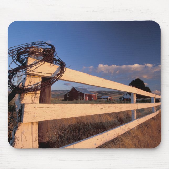 Mousepad NA, EUA, Washington, perto de Walla Walla, cerca, (Frente)