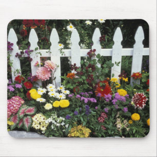 Mousepad NA, EUA, Washington, Sammamish, Picket branco