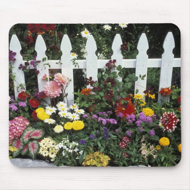 Mousepad NA, EUA, Washington, Sammamish, Picket branco (Frente)