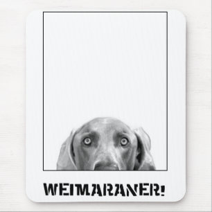 Mousepad Nação de Weimaraner: Weimaraner em uma caixa!
