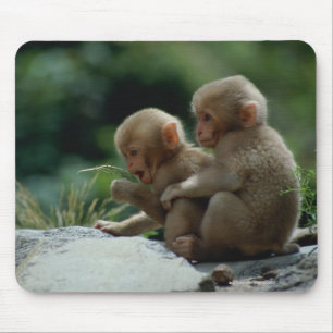 Mousepad Nagano, Japão