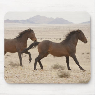 Mousepad Namíbia, Aus. Cavalos selvagens correndo no Namibe