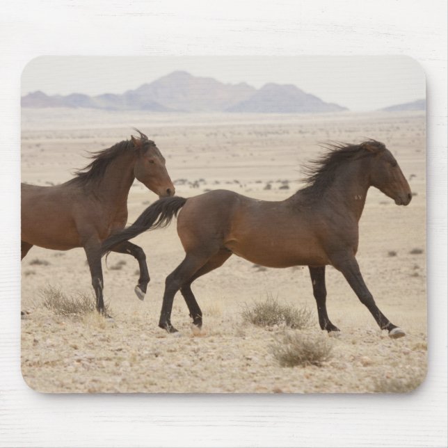 Mousepad Namíbia, Aus. Cavalos selvagens correndo no Namibe (Frente)