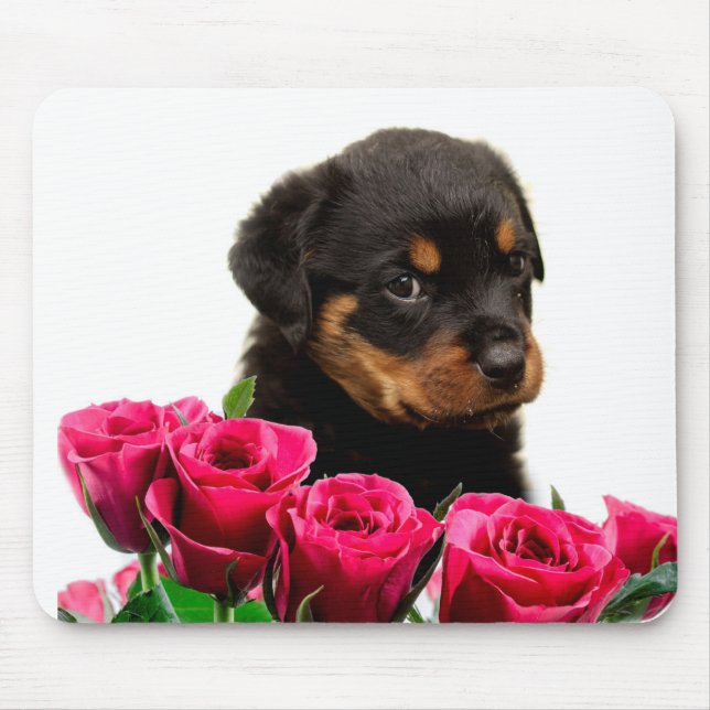 Mousepad Namorados Rosa Rottweiler (Frente)