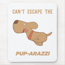 Não consigo escapar do pup-arazzi