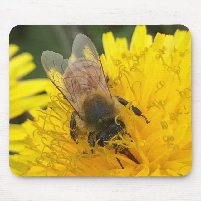 Mousepad Não me meta a salvar a abelha de mel (Frente)