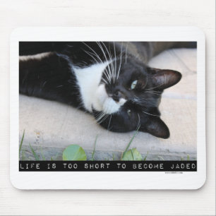 Mousepad Não seja gato engraçado enfadado