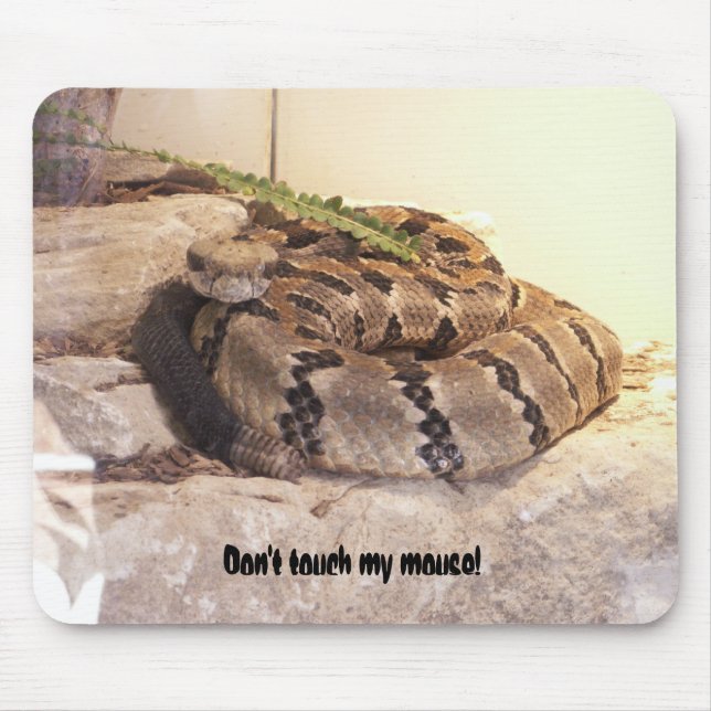 Mousepad Não toque em meu rato! (Frente)