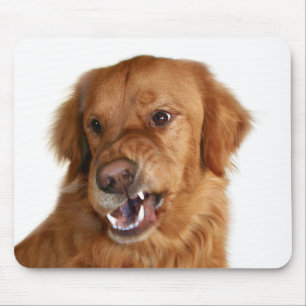 Mousepad Não toque no meu computador!