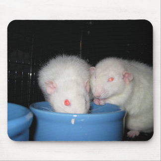 Mousepad Não um tapete do rato…