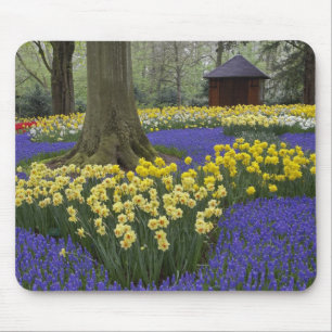 Mousepad Narcisos, jacintos e jardim de tulipas,