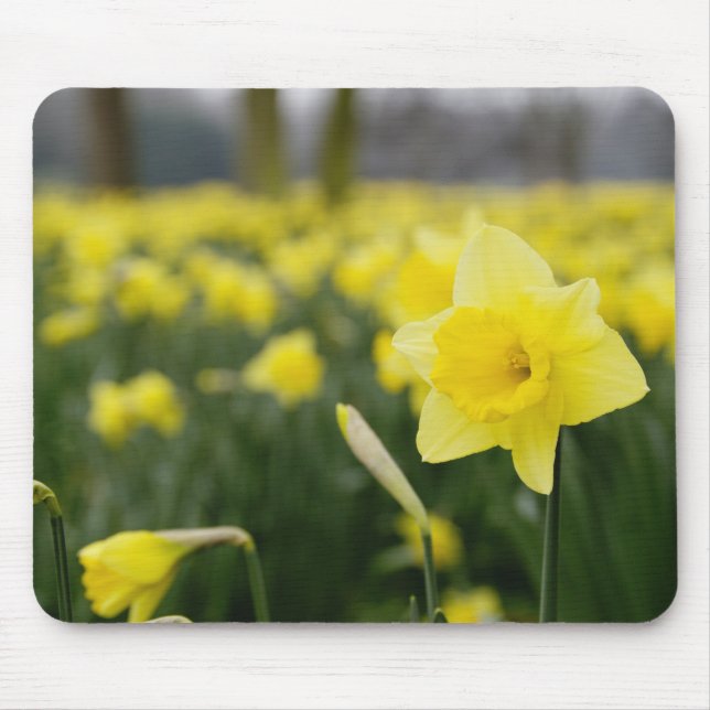 Mousepad Narcisos (RF) (Frente)