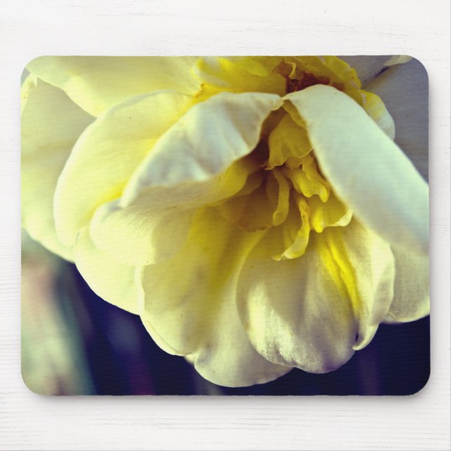 Mousepad Narcissus Daffodil (Frente)